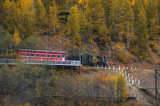 秋季森林小火车