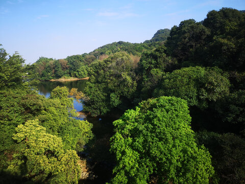 园林风景