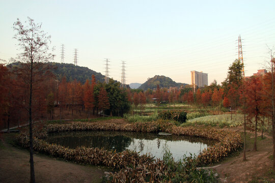 广州大观湿地公园