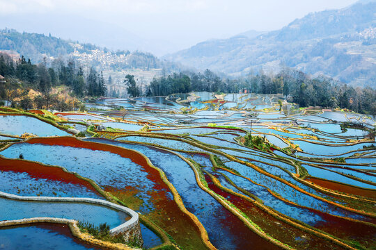 元阳梯田