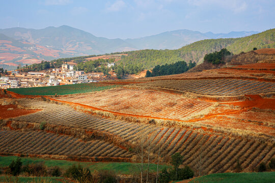 东川红土地