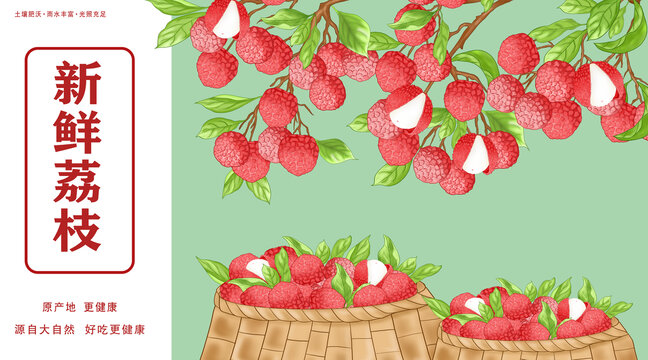 荔枝水果包裝插畫
