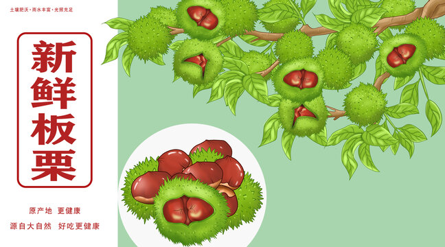 板栗水果包裝插畫