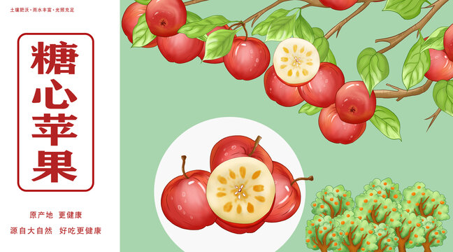 苹果水果包装插画
