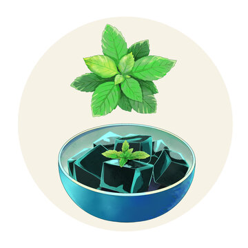 手繪水彩傳統(tǒng)美食燒仙草插畫