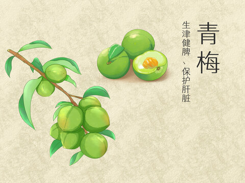 手繪水彩水果青梅插畫