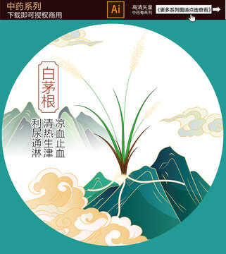手繪白茅根