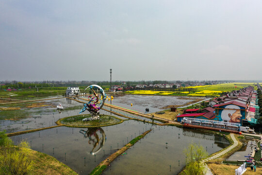 航拍油菜花田