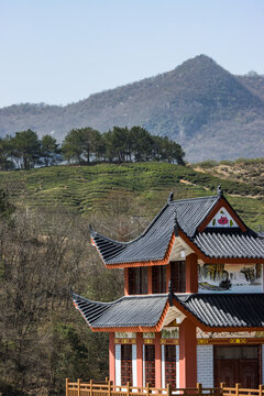 仙居南河水