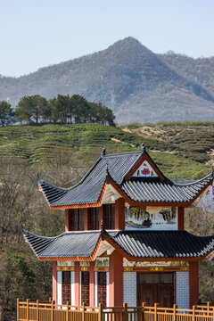 仙居南河水