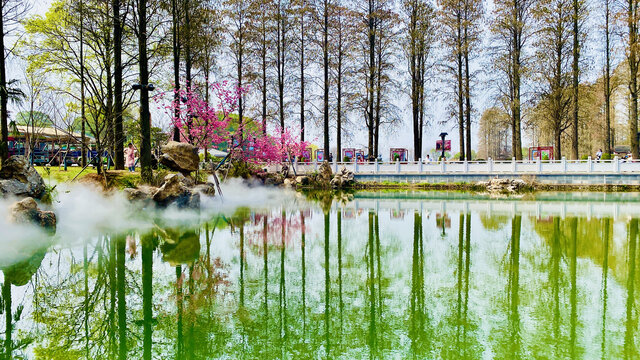 水雾池樱花园