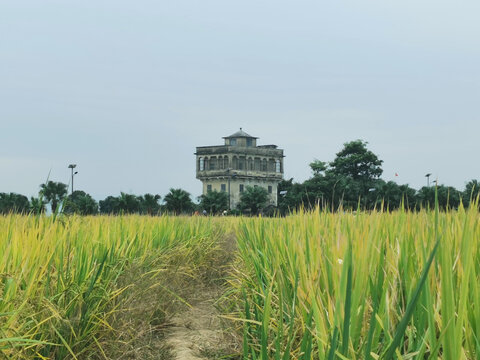 江门碉楼旅游