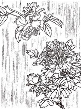 玫瑰花線