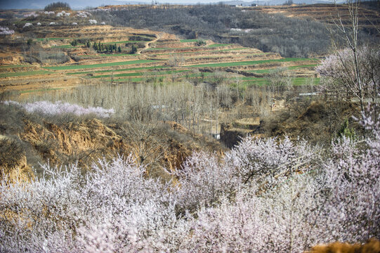 乡村旅游