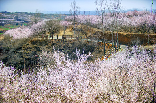 乡村旅游