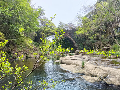 中山罗坑奇石谷