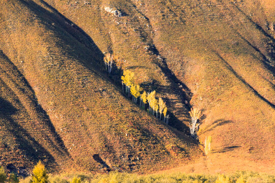 山坡山体树林