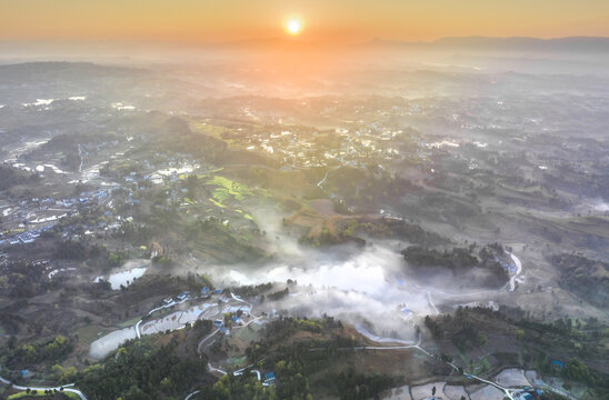 希望的田野