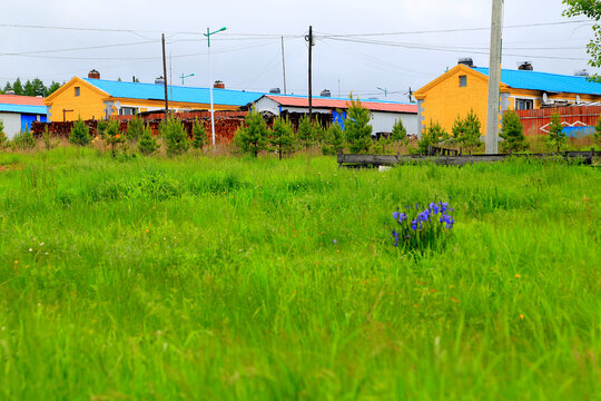 东北民居田原风光