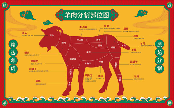 羊肉分割部位圖