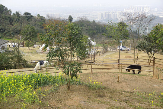 龙泉山城市森林公园休闲场所