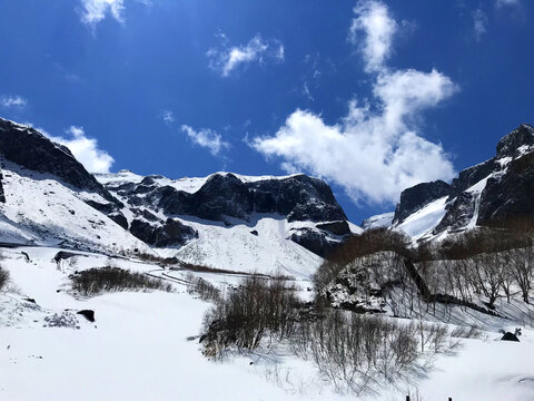 自然雪景