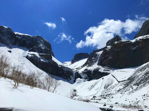 自然雪景