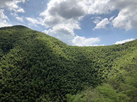 常州溧阳南山竹海