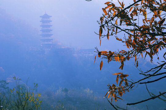 山东莱州大基山风光