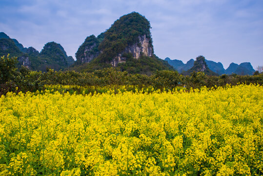 贵州乡村田园