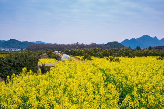 贵州小山村