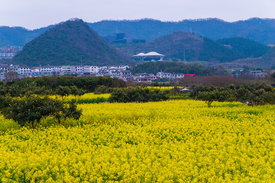 贵州乡村田园风光