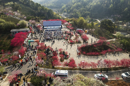 宜都市桃花节现场