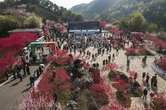 宜都市桃花节现场