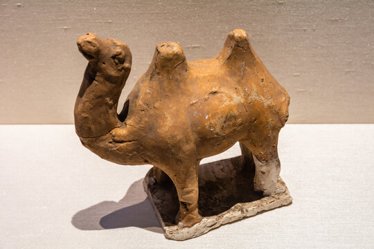 唐代陶骆驼