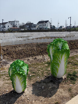 乡村旅游村口大白菜雕塑