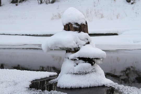 冬季雪蘑菇