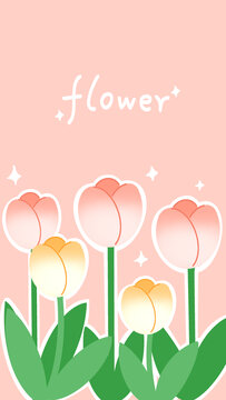 郁金香插畫