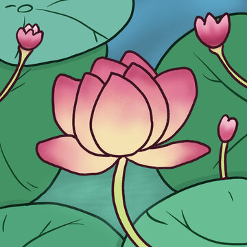 手繪荷花插畫