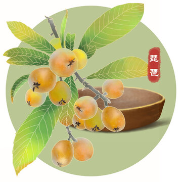 琵琶插畫