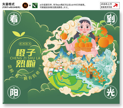 橙子插畫