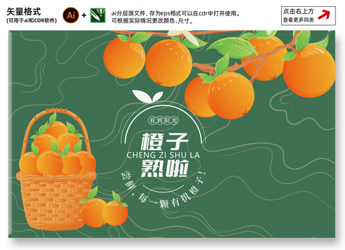 橙子包裝插畫