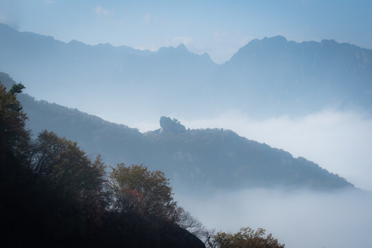 西安嘉午台秋景