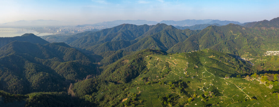 杭州西湖龙井产地翁家山茶园