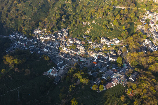 杭州西湖龙井产地翁家山茶园