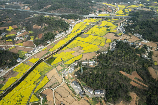 油菜地航拍