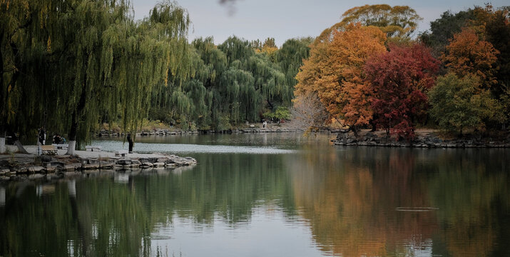 北京大学春天未名湖畔