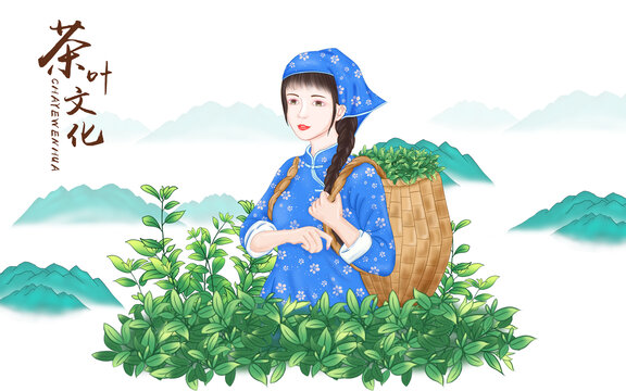 采茶女插画