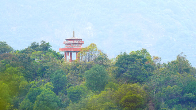 山林树木凉亭