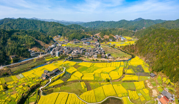 航拍农村春天油菜花美丽风光